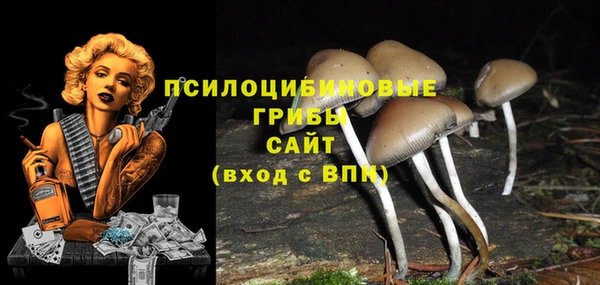 спиды Нефтекумск