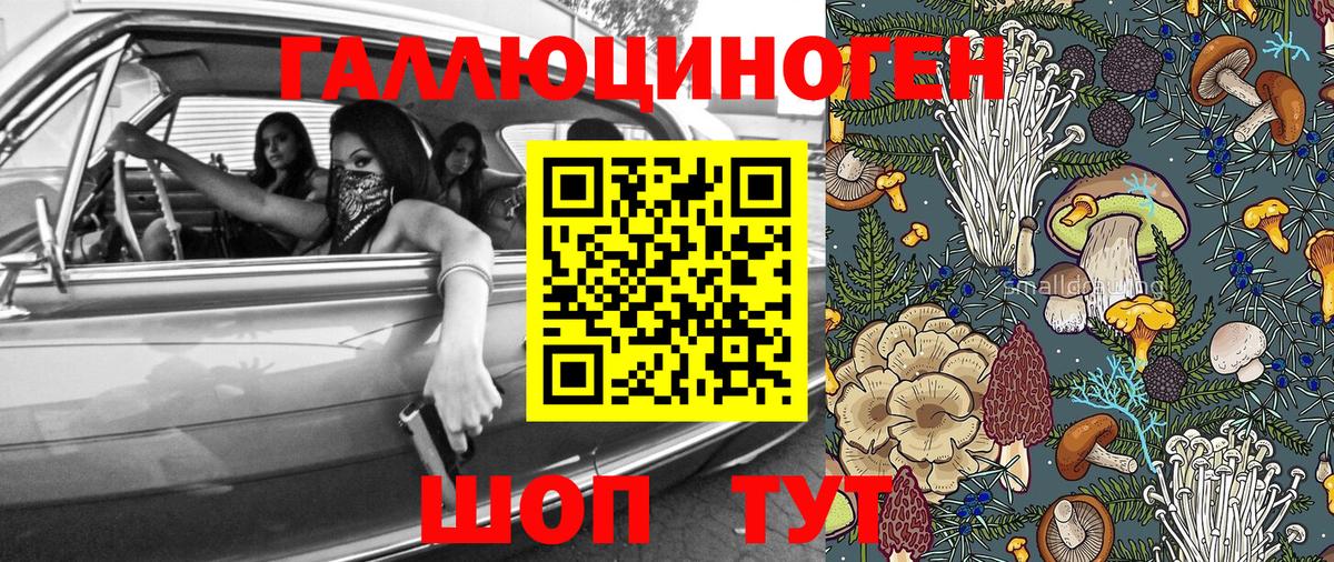 Псилоцибиновые грибы мицелий Белгород