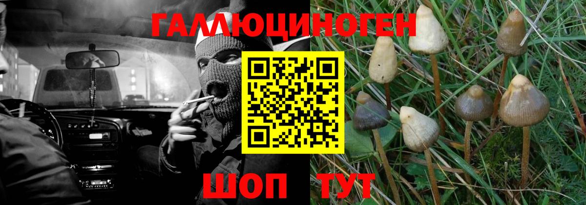 Меф МЯУ МЯУ   Гашиш  КОКАИН  Вход с VPN  Белгород  ГАШ 