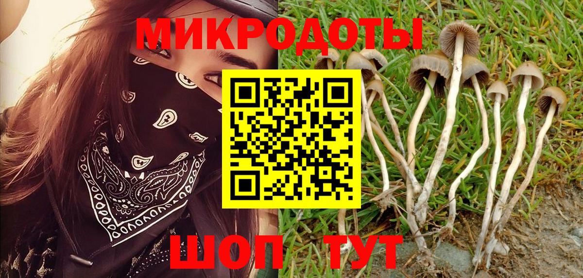Белгород  Галлюциногенные грибы ЛСД  Галлюциногенные грибы GOLDEN TEACHER  Вход с VPN 